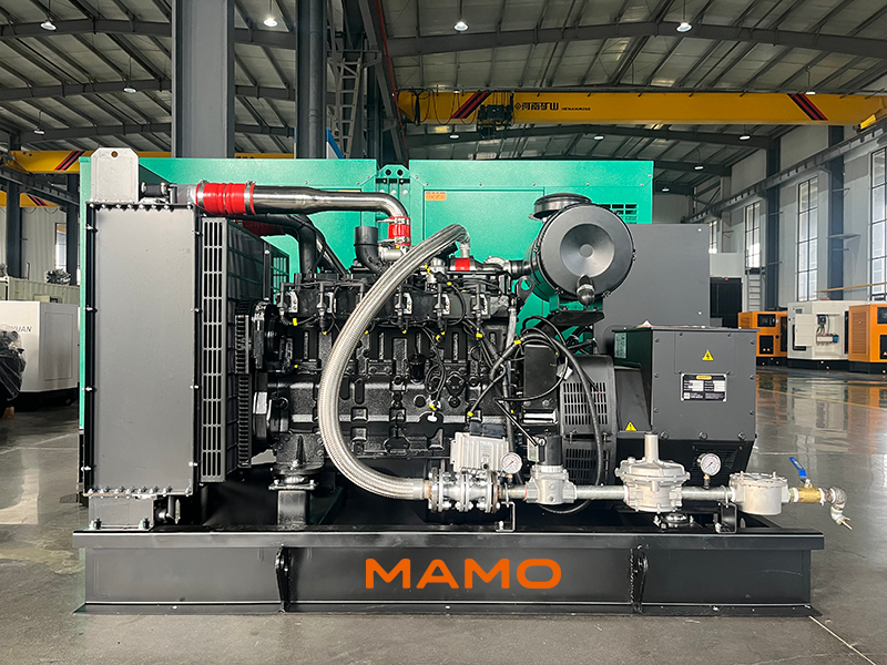 Natural Gas Generator