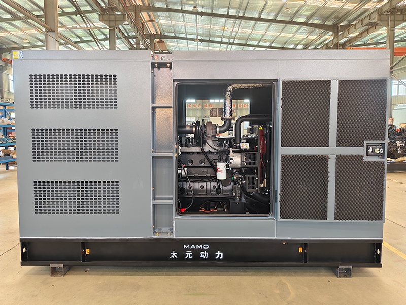 Diesel Generator 